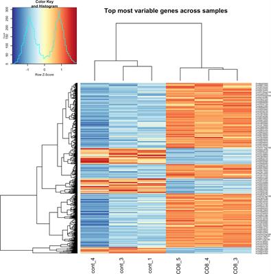 Transcriptomic analysis of pea plant responses to chitooligosaccharides’ treatment revealed stimulation of mitogen-activated protein kinase cascade